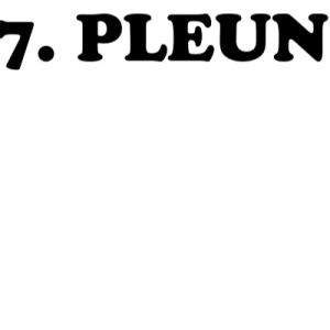 Vlaggetjeslijn met naam Pleun - Afbeelding 2