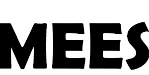 Vlaggetjeslijn met naam Mees - Afbeelding 2