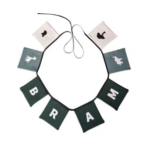 VlaggenlijnMetNaamBram